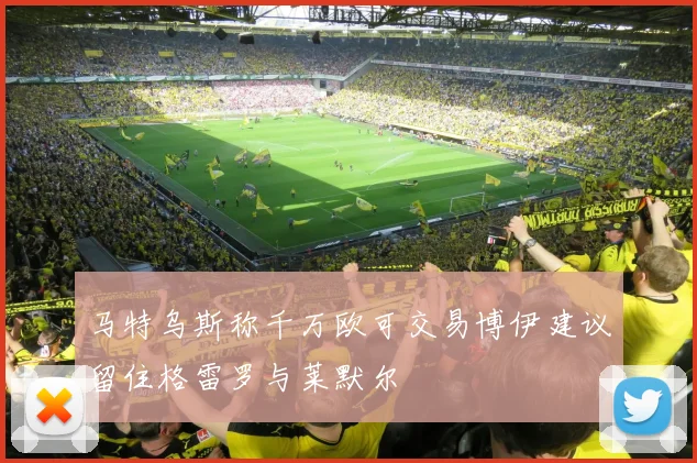 马特乌斯称千万欧可交易博伊建议留住格雷罗与莱默尔