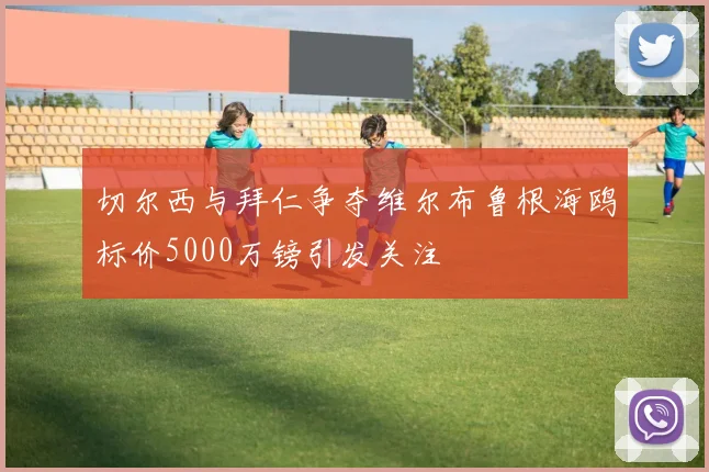 切尔西与拜仁争夺维尔布鲁根海鸥标价5000万镑引发关注