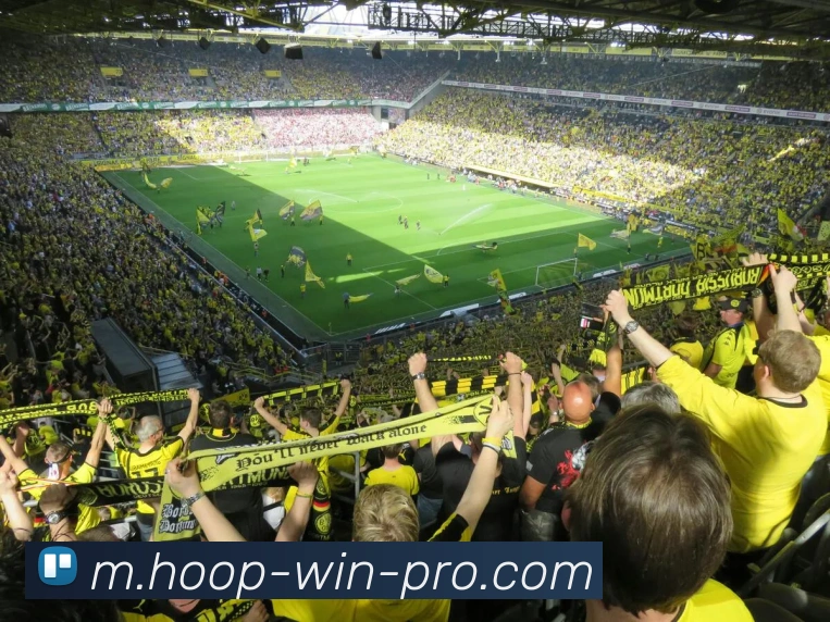 篮球投注服务体系